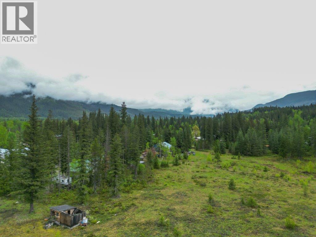 4103 Balsam Way, Malakwa, British Columbia  V0E 2J0 - Photo 21 - 10341433