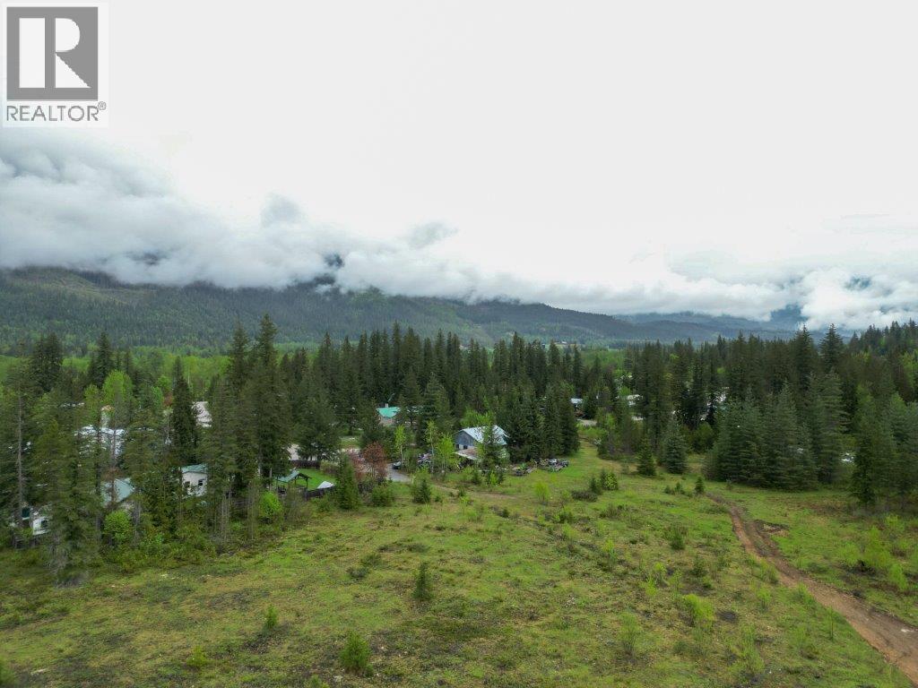 4103 Balsam Way, Malakwa, British Columbia  V0E 2J0 - Photo 22 - 10341433