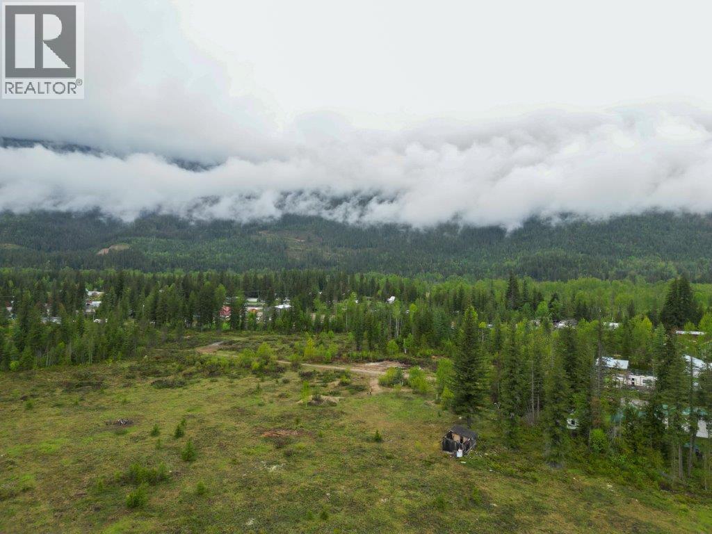 4103 Balsam Way, Malakwa, British Columbia  V0E 2J0 - Photo 23 - 10341433