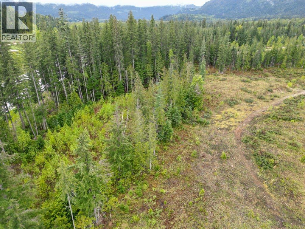 4103 Balsam Way, Malakwa, British Columbia  V0E 2J0 - Photo 26 - 10341433