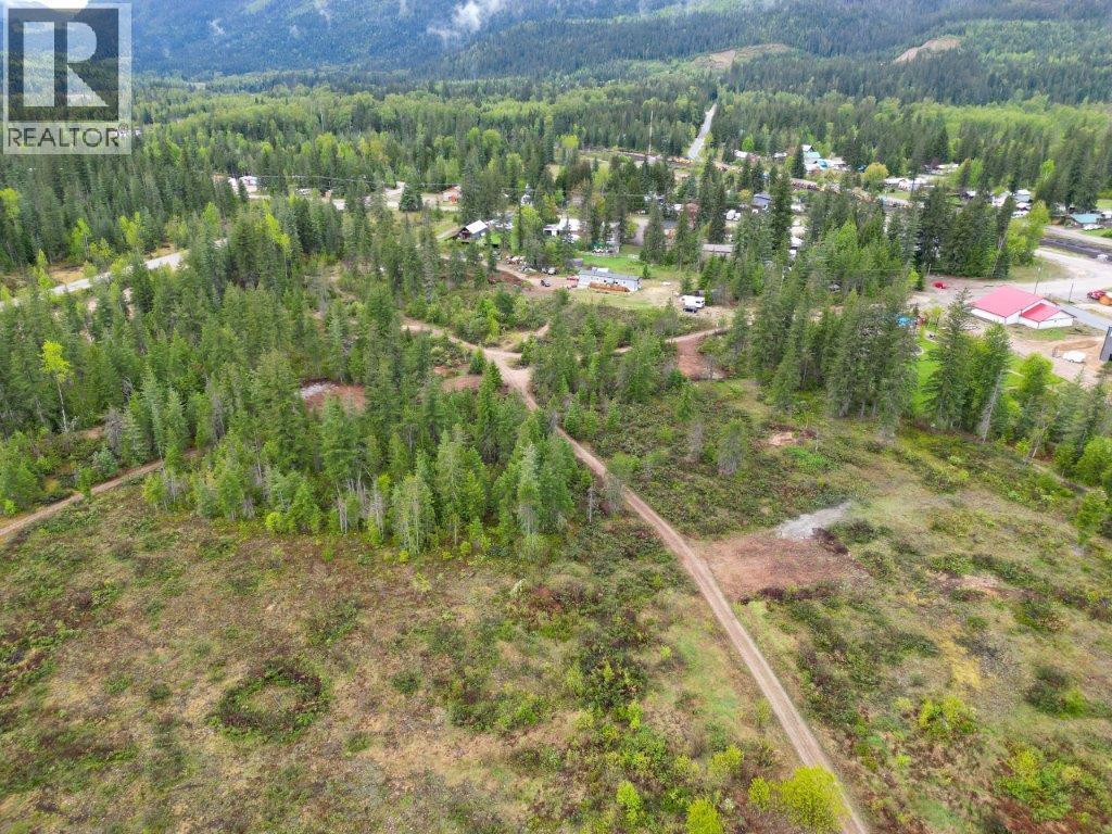 4103 Balsam Way, Malakwa, British Columbia  V0E 2J0 - Photo 29 - 10341433