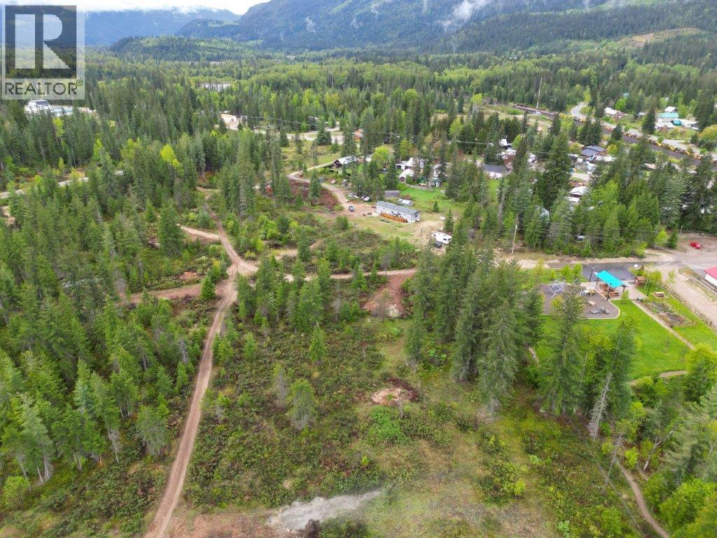 4103 Balsam Way, Malakwa, British Columbia  V0E 2J0 - Photo 30 - 10341433