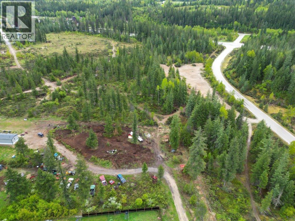 4103 Balsam Way, Malakwa, British Columbia  V0E 2J0 - Photo 35 - 10341433