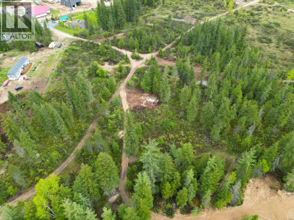 4103 Balsam Way, Malakwa, British Columbia  V0E 2J0 - Photo 4 - 10341433