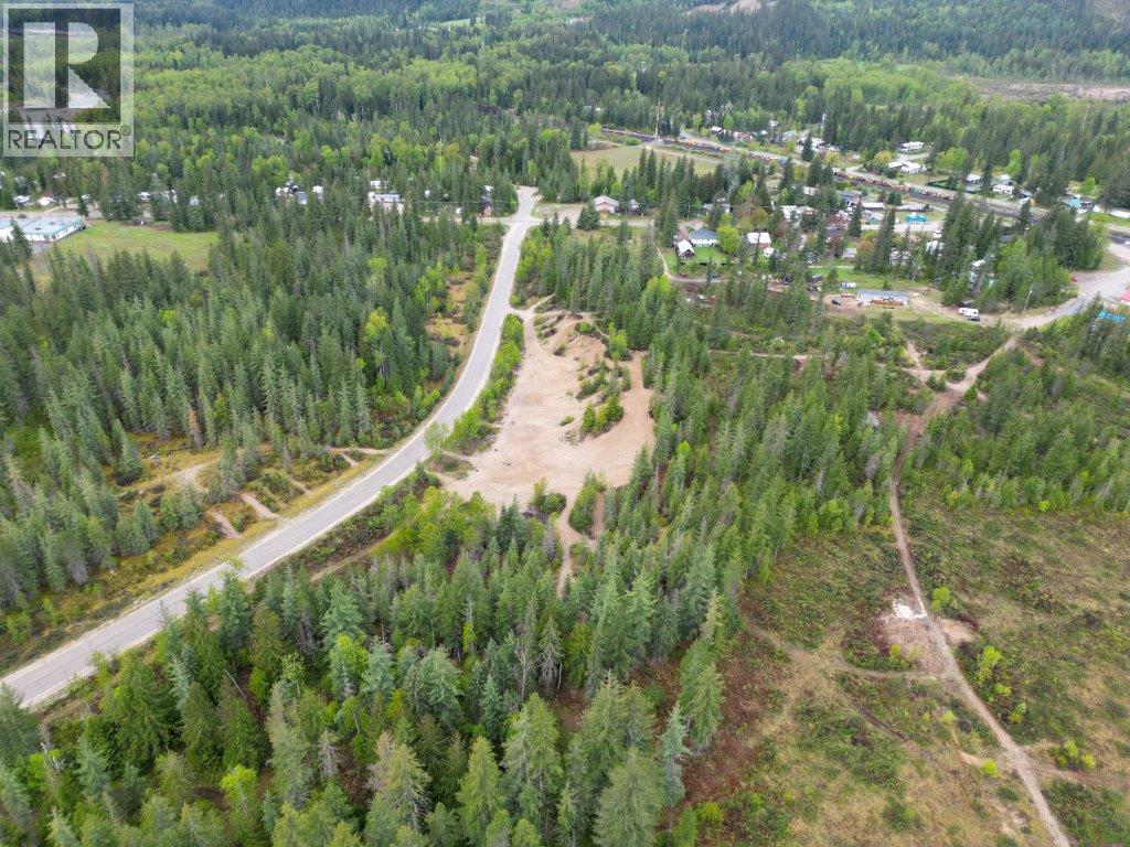 4103 Balsam Way, Malakwa, British Columbia  V0E 2J0 - Photo 41 - 10341433