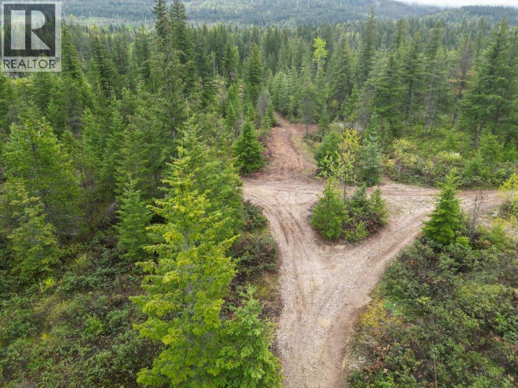 4103 Balsam Way, Malakwa, British Columbia  V0E 2J0 - Photo 49 - 10341433