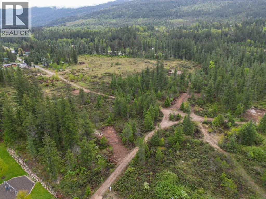 4103 Balsam Way, Malakwa, British Columbia  V0E 2J0 - Photo 50 - 10341433