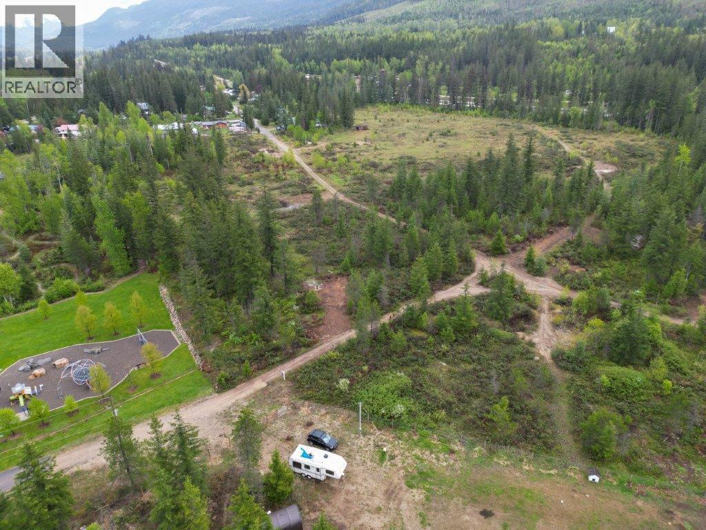 4103 Balsam Way, Malakwa, British Columbia  V0E 2J0 - Photo 51 - 10341433