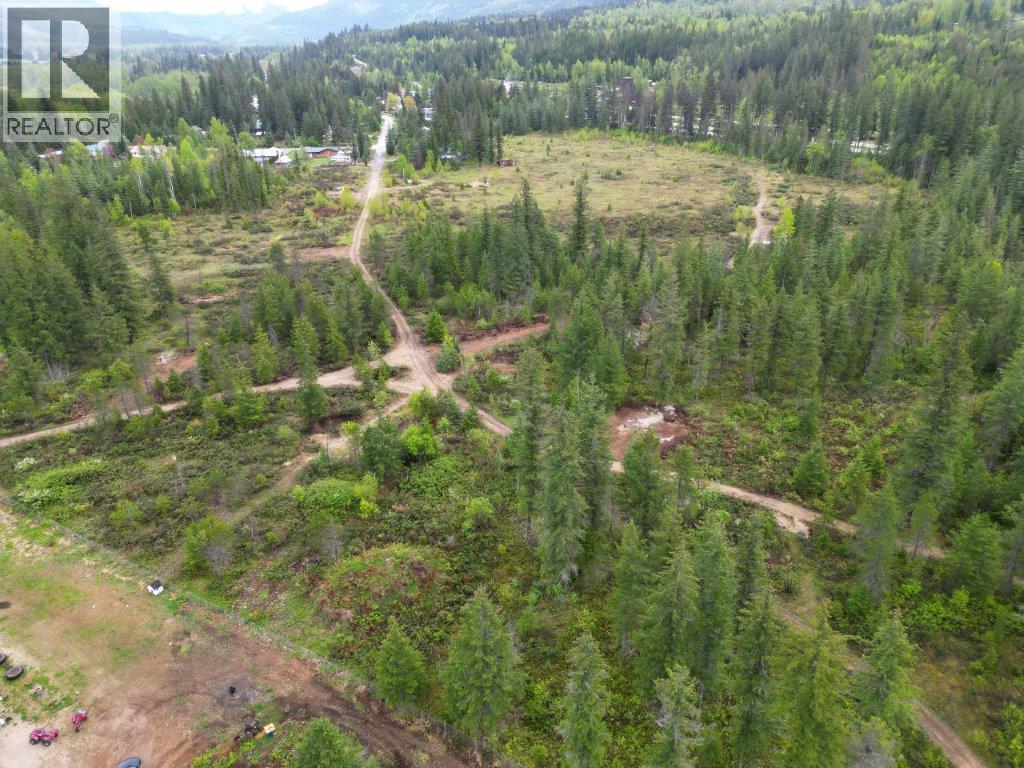 4103 Balsam Way, Malakwa, British Columbia  V0E 2J0 - Photo 52 - 10341433