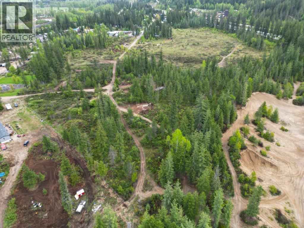 4103 Balsam Way, Malakwa, British Columbia  V0E 2J0 - Photo 53 - 10341433