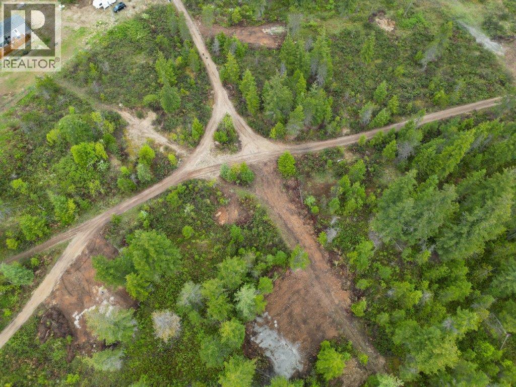 4103 Balsam Way, Malakwa, British Columbia  V0E 2J0 - Photo 54 - 10341433