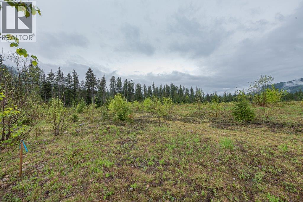 4103 Balsam Way, Malakwa, British Columbia  V0E 2J0 - Photo 6 - 10341433