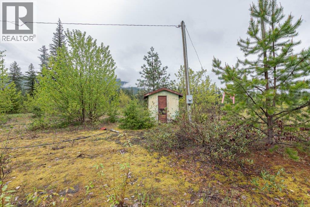 4103 Balsam Way, Malakwa, British Columbia  V0E 2J0 - Photo 9 - 10341433