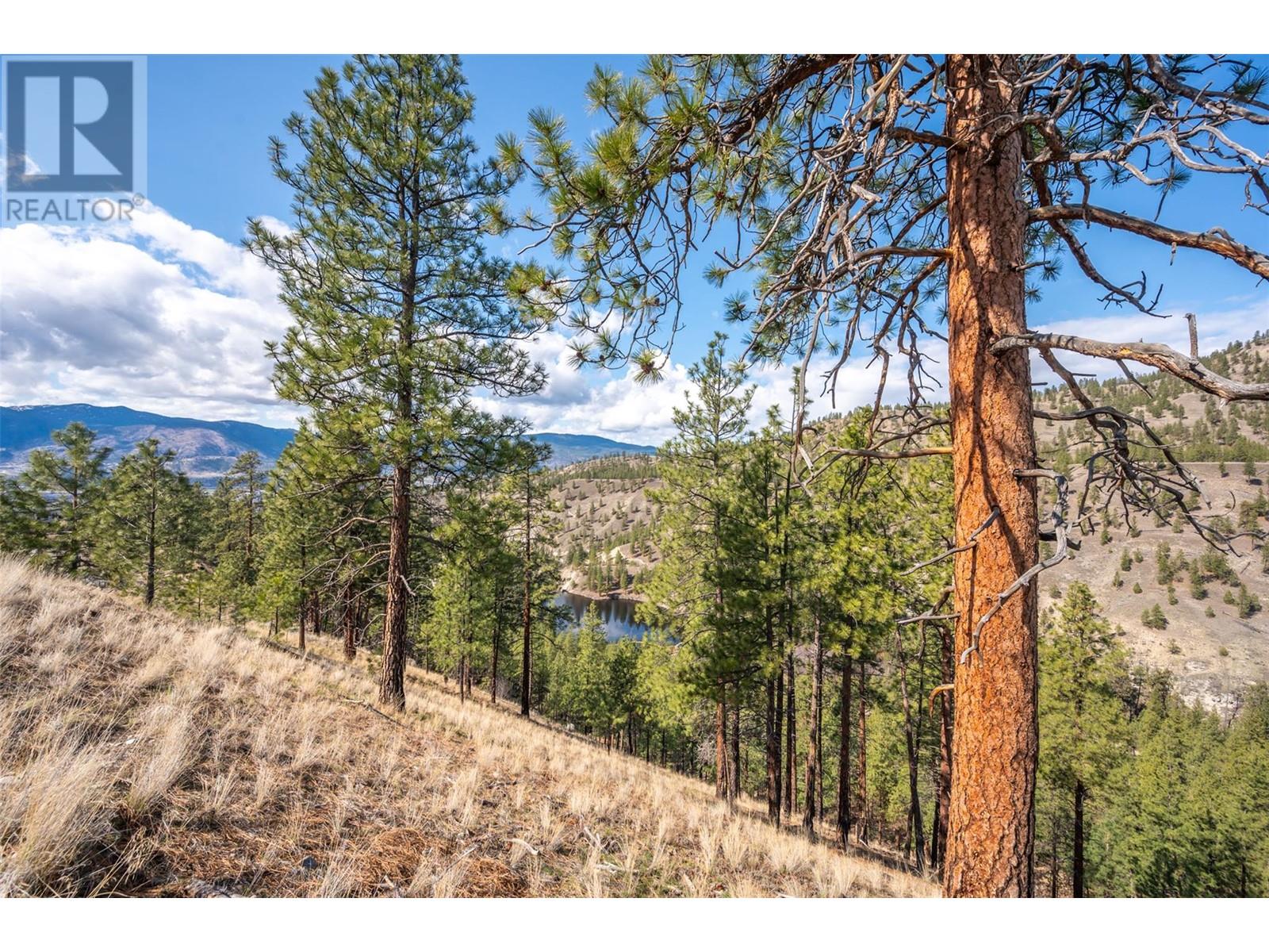2101 Lawrence Avenue, Penticton, British Columbia  V2A 9G6 - Photo 55 - 10341611