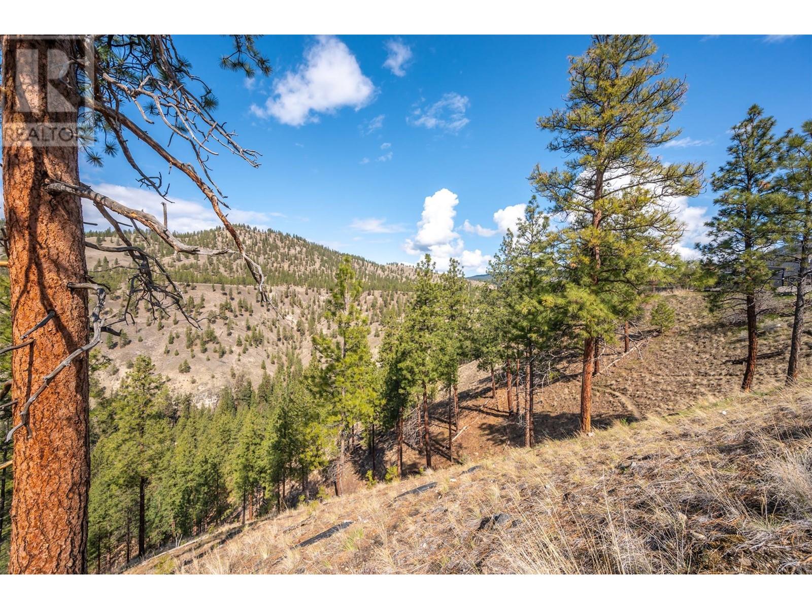 2101 Lawrence Avenue, Penticton, British Columbia  V2A 9G6 - Photo 56 - 10341611