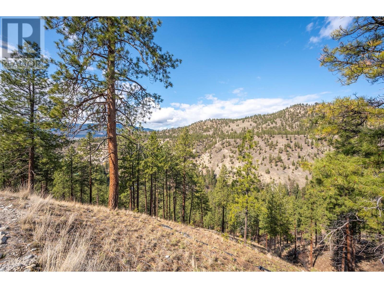 2101 Lawrence Avenue, Penticton, British Columbia  V2A 9G6 - Photo 57 - 10341611