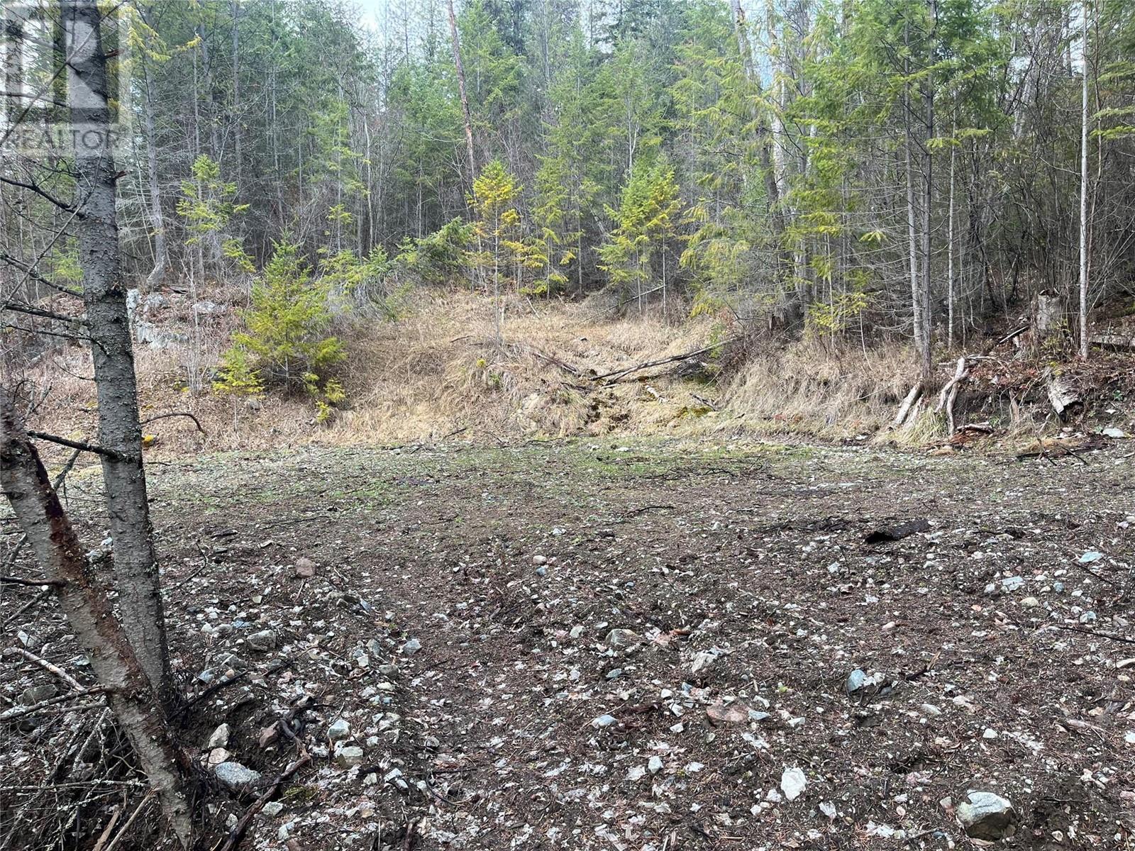 Lot 128 Broadwater Road, Castlegar, British Columbia  V1N 4V8 - Photo 10 - 10341470