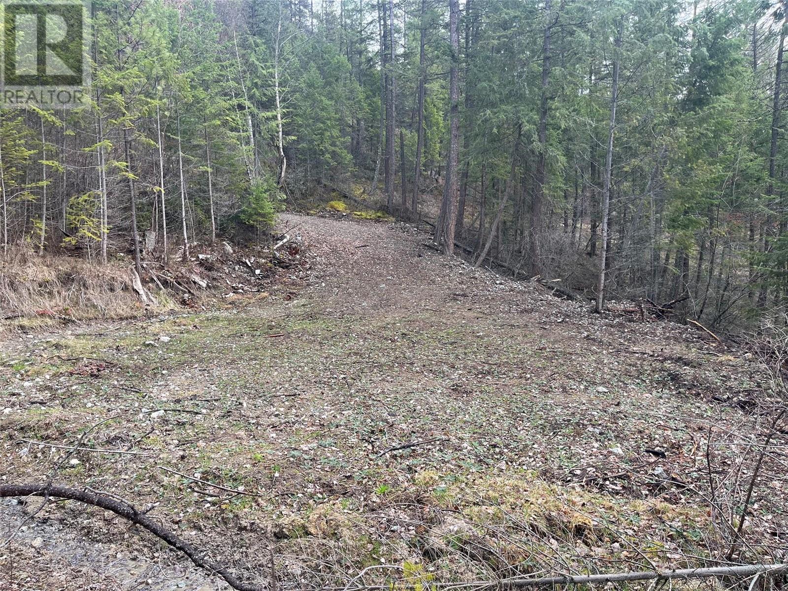 Lot 128 Broadwater Road, Castlegar, British Columbia  V1N 4V8 - Photo 11 - 10341470