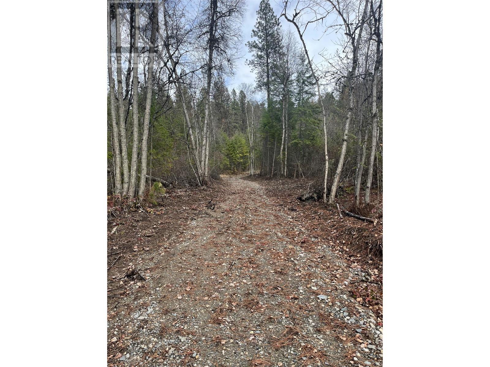 Lot 128 Broadwater Road, Castlegar, British Columbia  V1N 4V8 - Photo 12 - 10341470