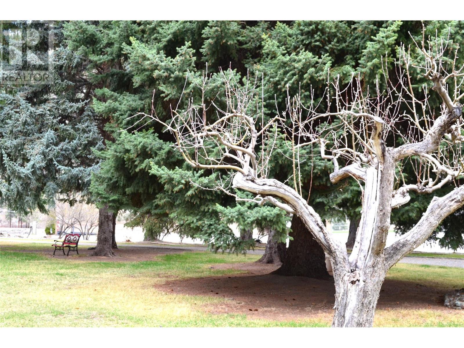 4354 Hwy 3 Highway Unit# 4, Keremeos, British Columbia  V0X 1N1 - Photo 28 - 10341921