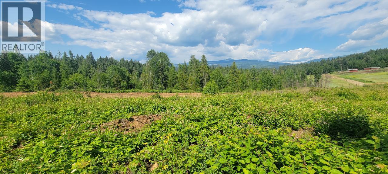 Dl 2620 Yellowhead Highway Unit# Lot 1, Clearwater, British Columbia  V0E 1N1 - Photo 1 - 10341689