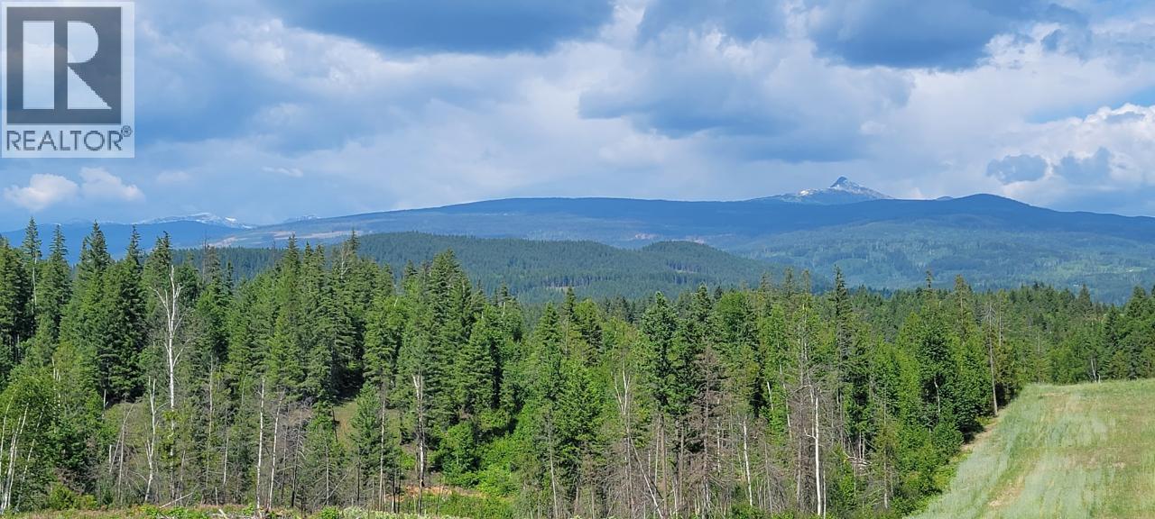 Dl 2620 Yellowhead Highway Unit# Lot 1, Clearwater, British Columbia  V0E 1N1 - Photo 10 - 10341689