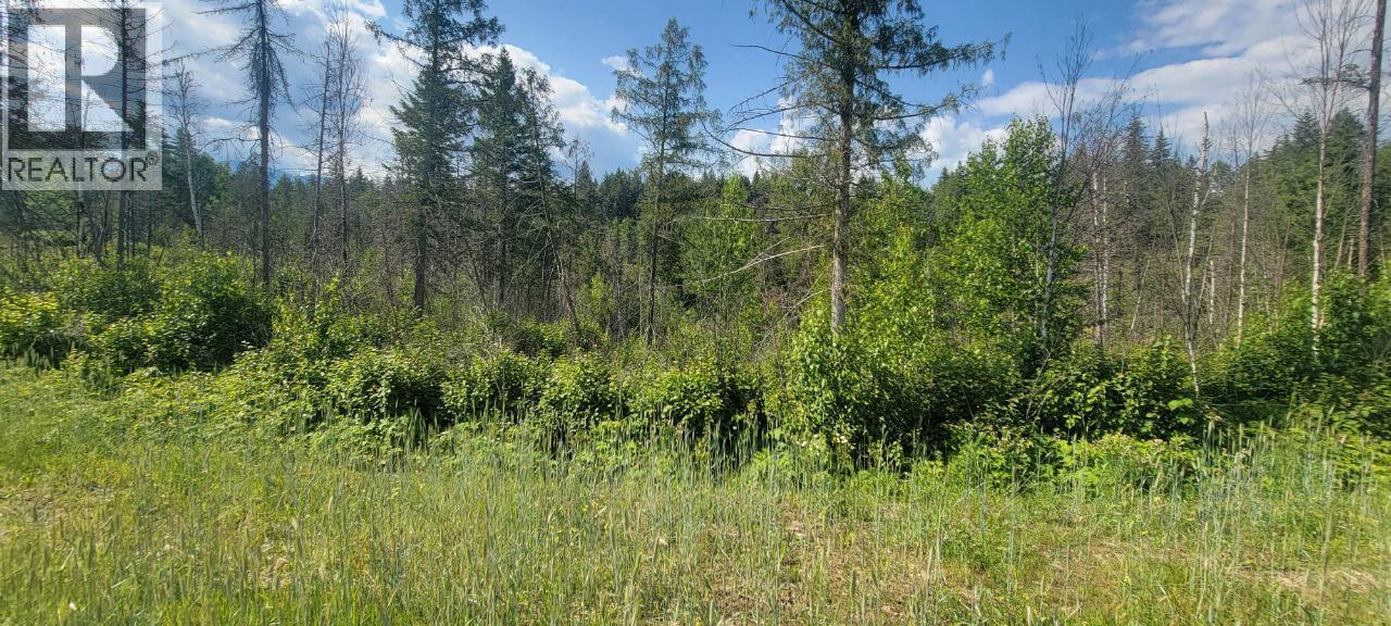 Dl 2620 Yellowhead Highway Unit# Lot 1, Clearwater, British Columbia  V0E 1N1 - Photo 16 - 10341689