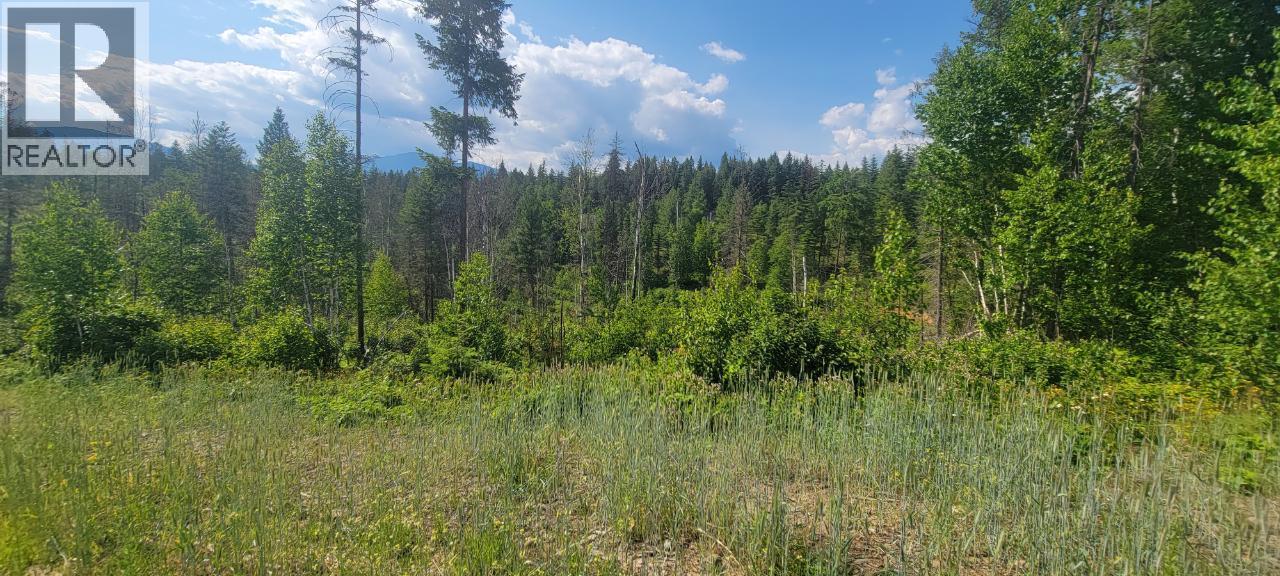 Dl 2620 Yellowhead Highway Unit# Lot 1, Clearwater, British Columbia  V0E 1N1 - Photo 17 - 10341689