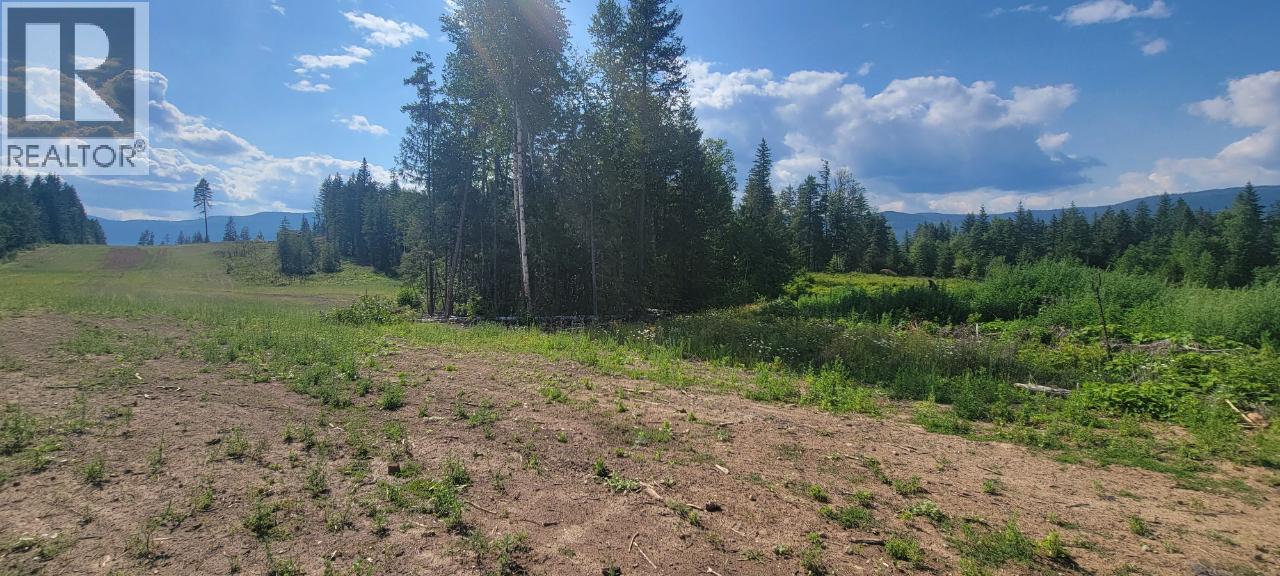 Dl 2620 Yellowhead Highway Unit# Lot 1, Clearwater, British Columbia  V0E 1N1 - Photo 2 - 10341689