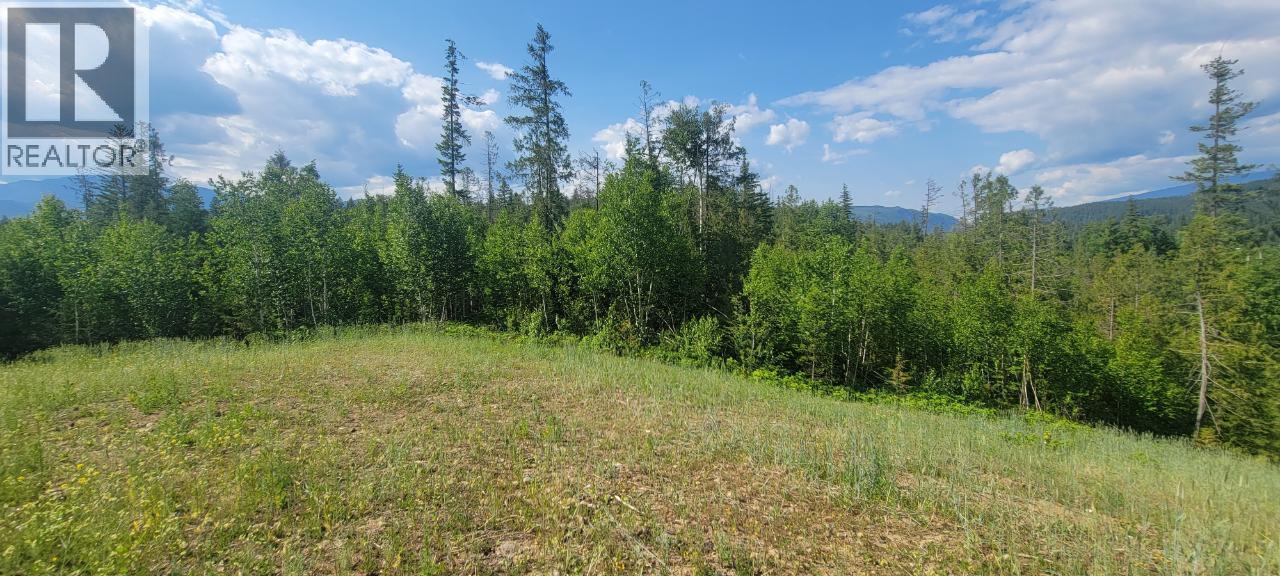 Dl 2620 Yellowhead Highway Unit# Lot 1, Clearwater, British Columbia  V0E 1N1 - Photo 20 - 10341689