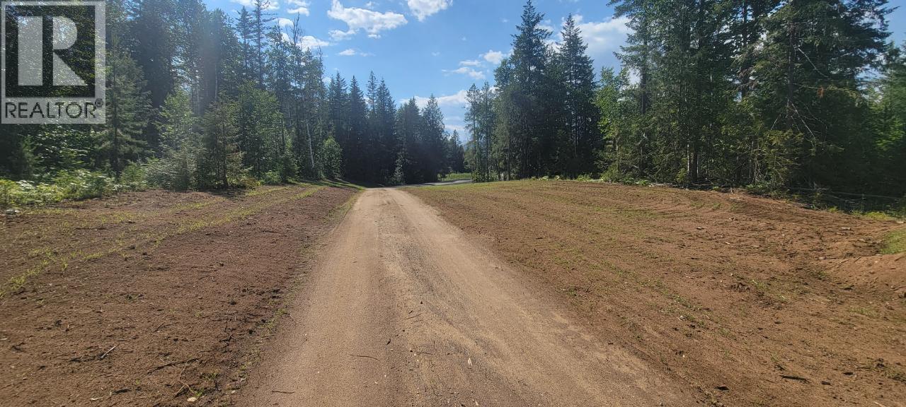 Dl 2620 Yellowhead Highway Unit# Lot 1, Clearwater, British Columbia  V0E 1N1 - Photo 3 - 10341689