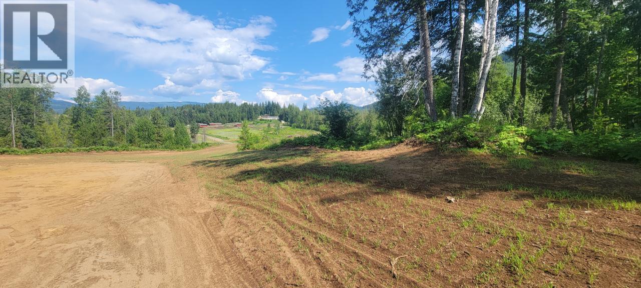 Dl 2620 Yellowhead Highway Unit# Lot 1, Clearwater, British Columbia  V0E 1N1 - Photo 4 - 10341689