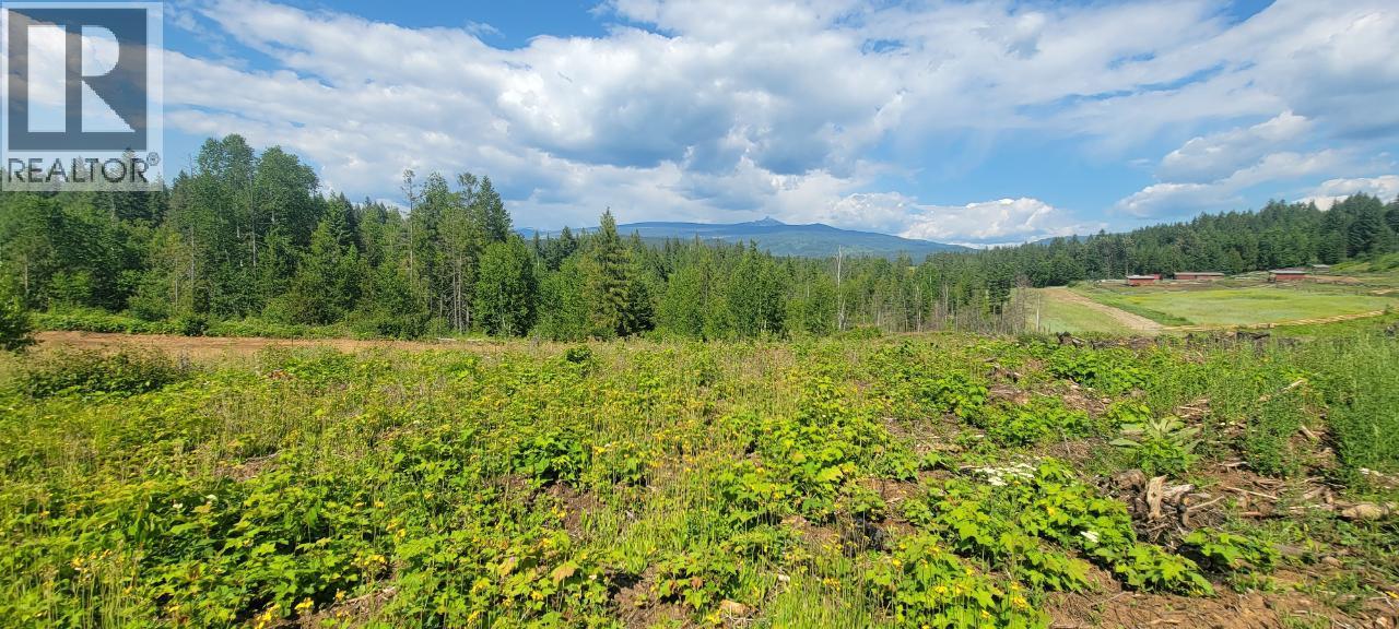 Dl 2620 Yellowhead Highway Unit# Lot 1, Clearwater, British Columbia  V0E 1N1 - Photo 5 - 10341689