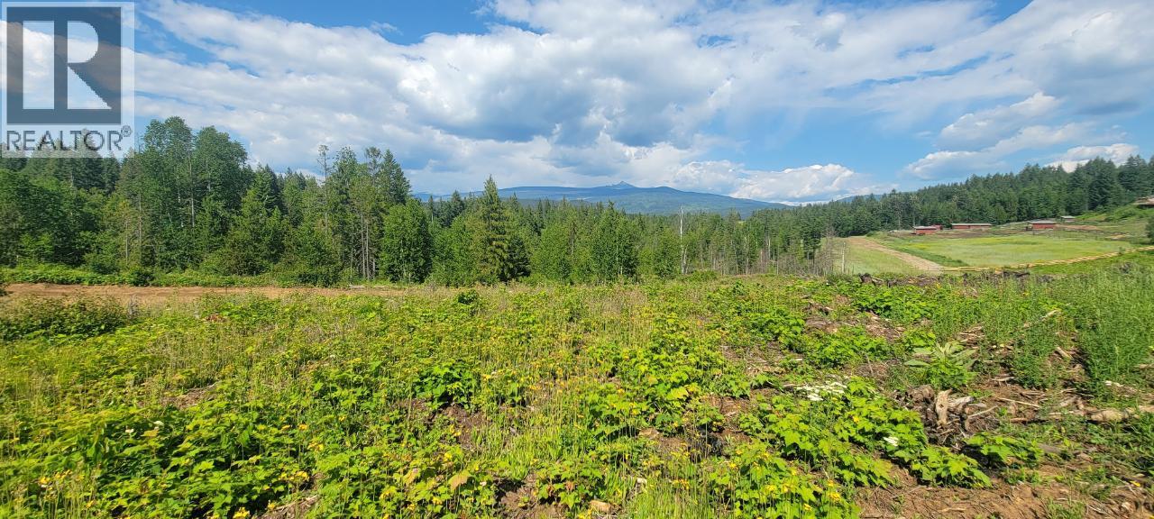 Dl 2620 Yellowhead Highway Unit# Lot 1, Clearwater, British Columbia  V0E 1N1 - Photo 6 - 10341689