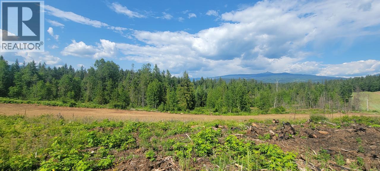 Dl 2620 Yellowhead Highway Unit# Lot 1, Clearwater, British Columbia  V0E 1N1 - Photo 7 - 10341689