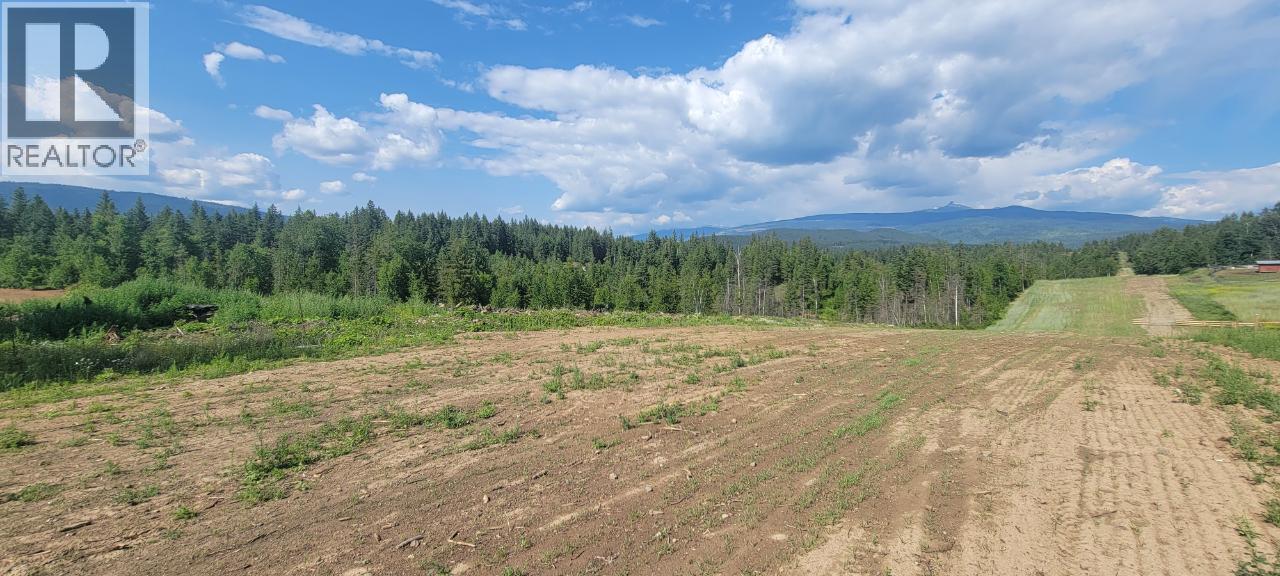 Dl 2620 Yellowhead Highway Unit# Lot 1, Clearwater, British Columbia  V0E 1N1 - Photo 8 - 10341689