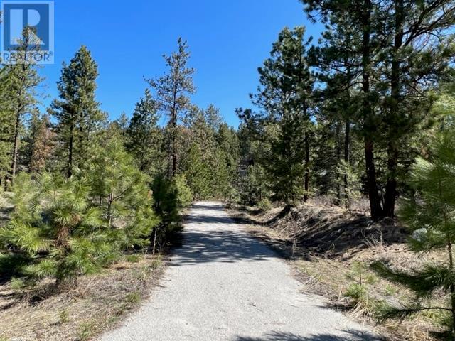 550 Peregrine Drive Lot# 27, Osoyoos, British Columbia  V0H 1V6 - Photo 3 - 10341485