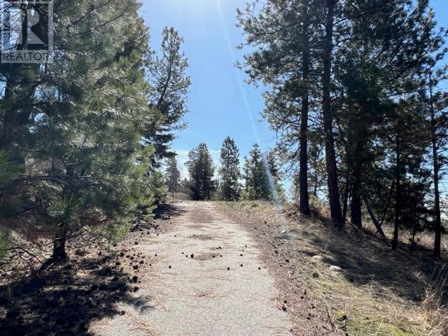 550 Peregrine Drive Lot# 27, Osoyoos, British Columbia  V0H 1V6 - Photo 4 - 10341485