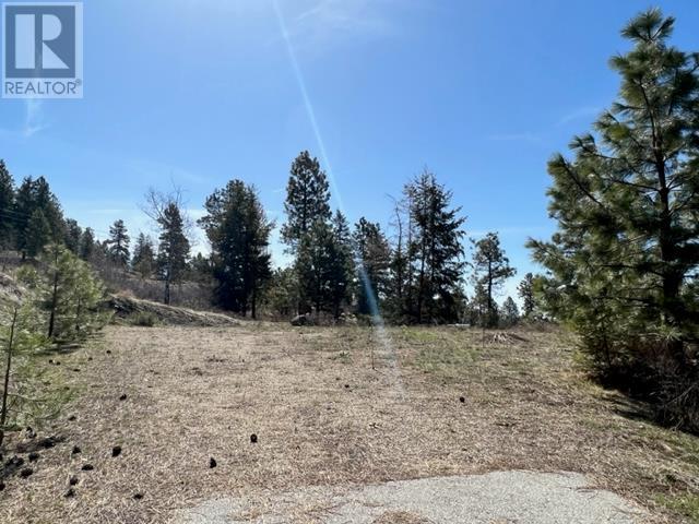 550 Peregrine Drive Lot# 27, Osoyoos, British Columbia  V0H 1V6 - Photo 5 - 10341485