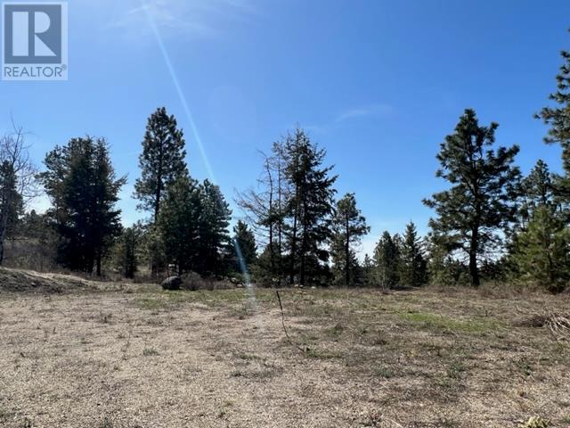 550 Peregrine Drive Lot# 27, Osoyoos, British Columbia  V0H 1V6 - Photo 6 - 10341485