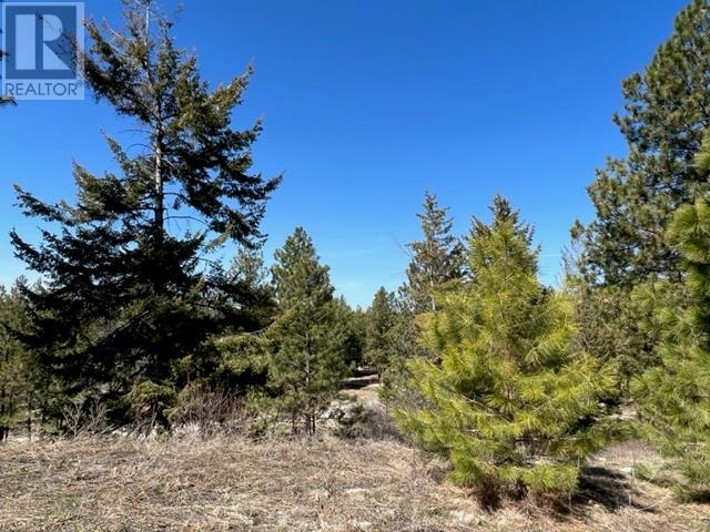 550 Peregrine Drive Lot# 27, Osoyoos, British Columbia  V0H 1V6 - Photo 7 - 10341485