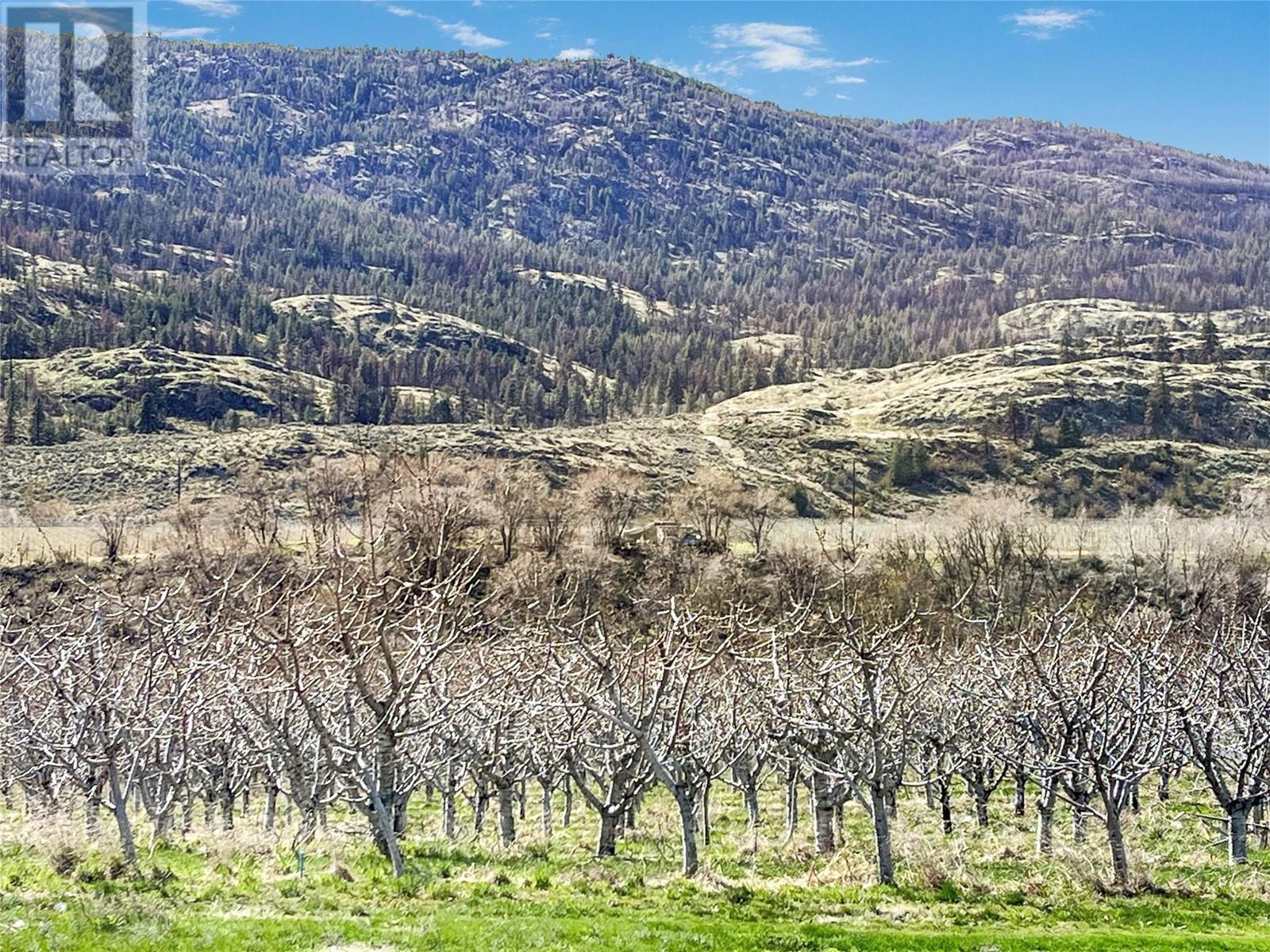 11629 97th Highway, Osoyoos, British Columbia  V0H 1V2 - Photo 14 - 10341911