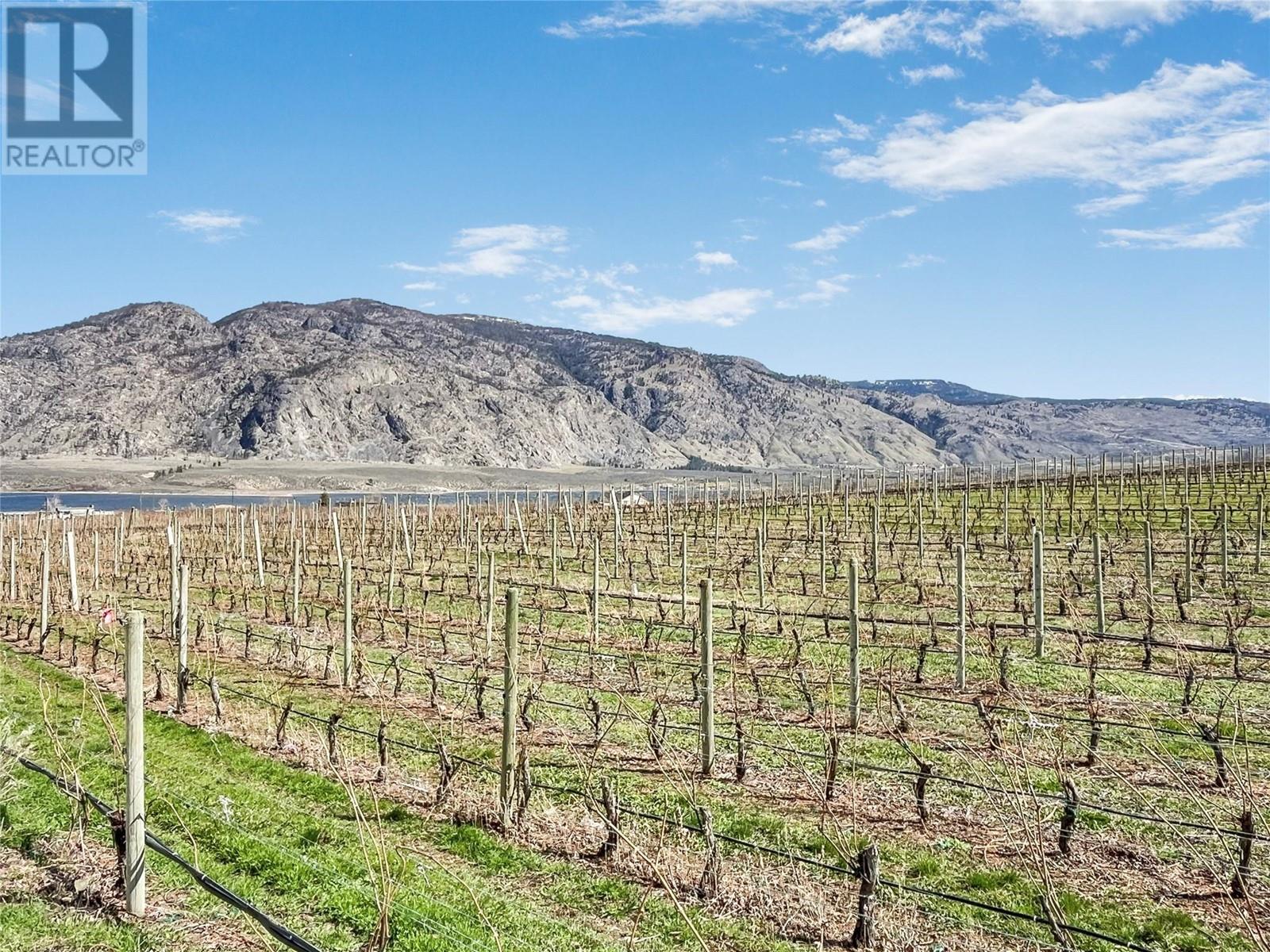 11629 97th Highway, Osoyoos, British Columbia  V0H 1V2 - Photo 15 - 10341911