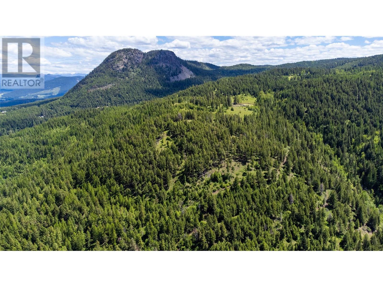 65 Settlers Road Lot# 4171, Vernon, British Columbia  V1B 3E9 - Photo 10 - 10342435