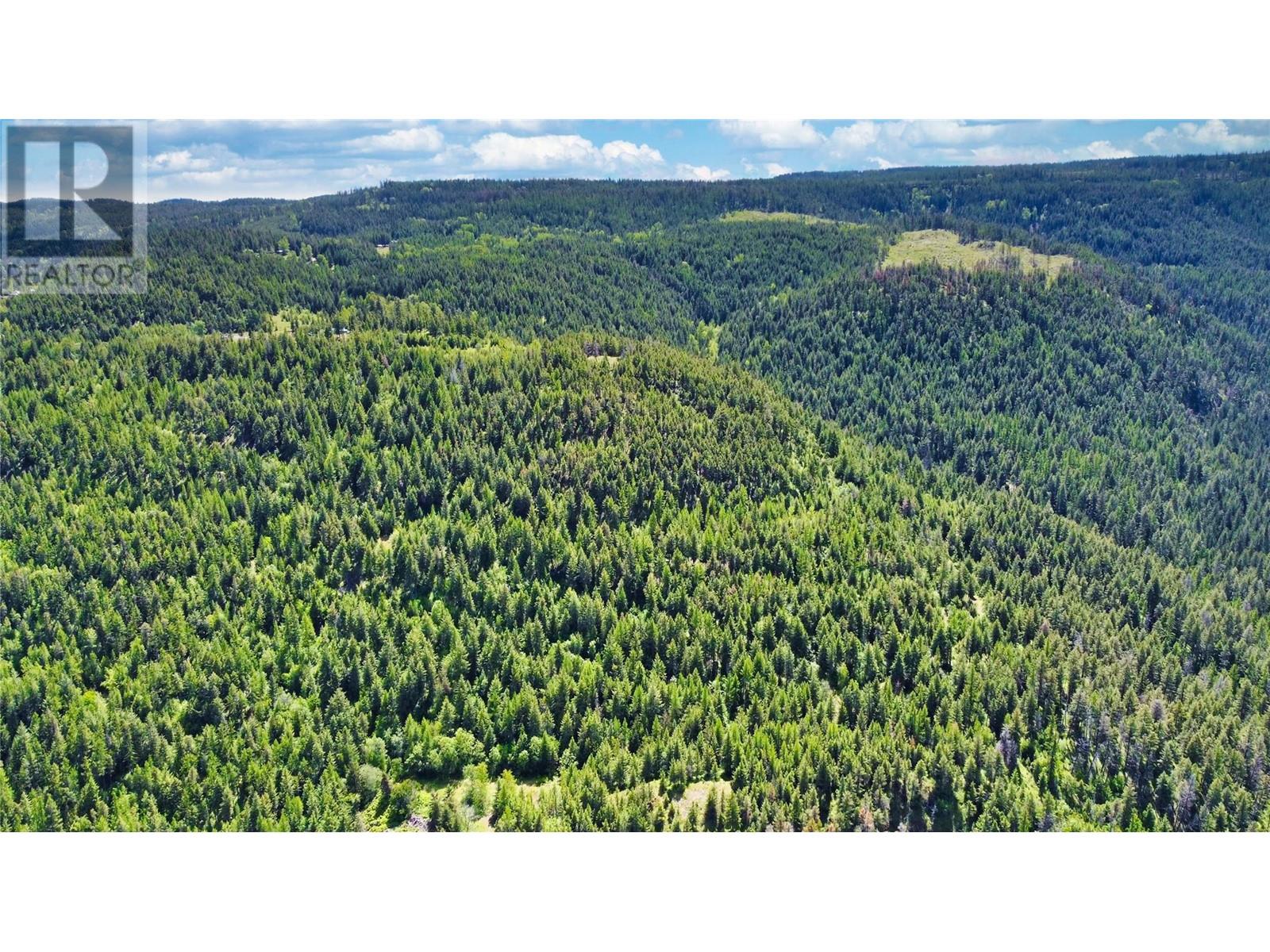 65 Settlers Road Lot# 4171, Vernon, British Columbia  V1B 3E9 - Photo 15 - 10342435