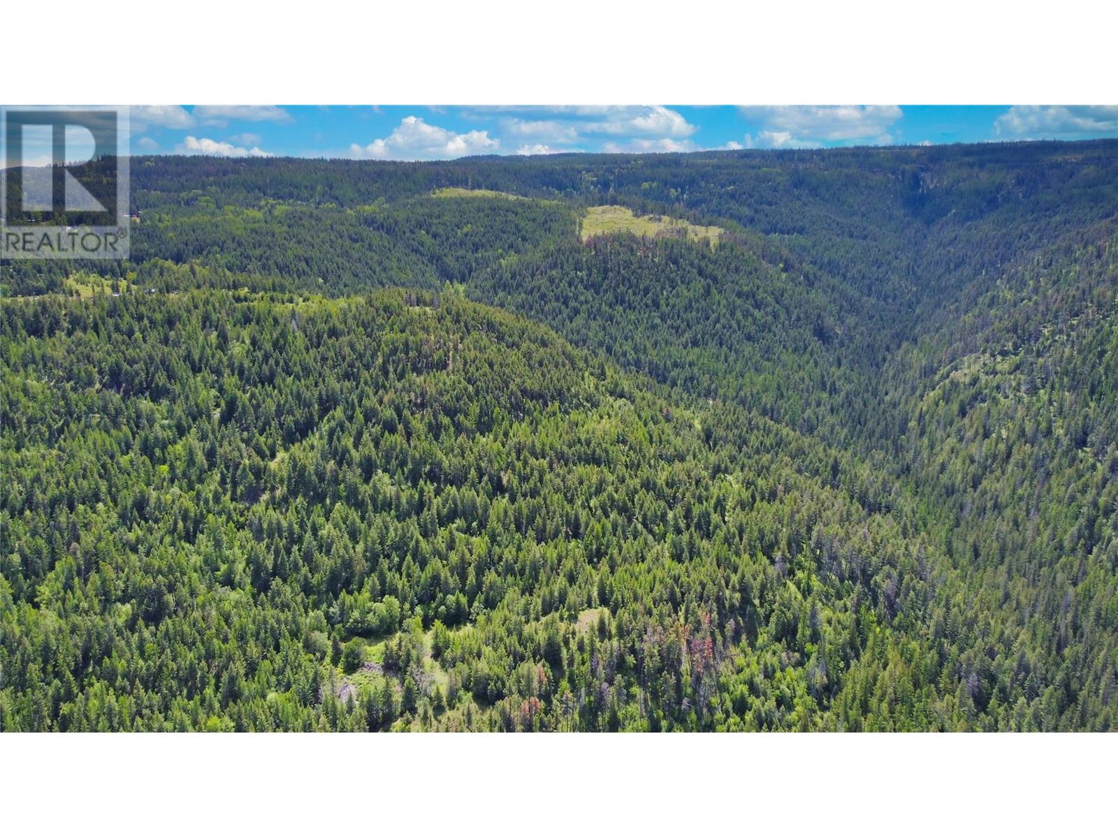 65 Settlers Road Lot# 4171, Vernon, British Columbia  V1B 3E9 - Photo 17 - 10342435