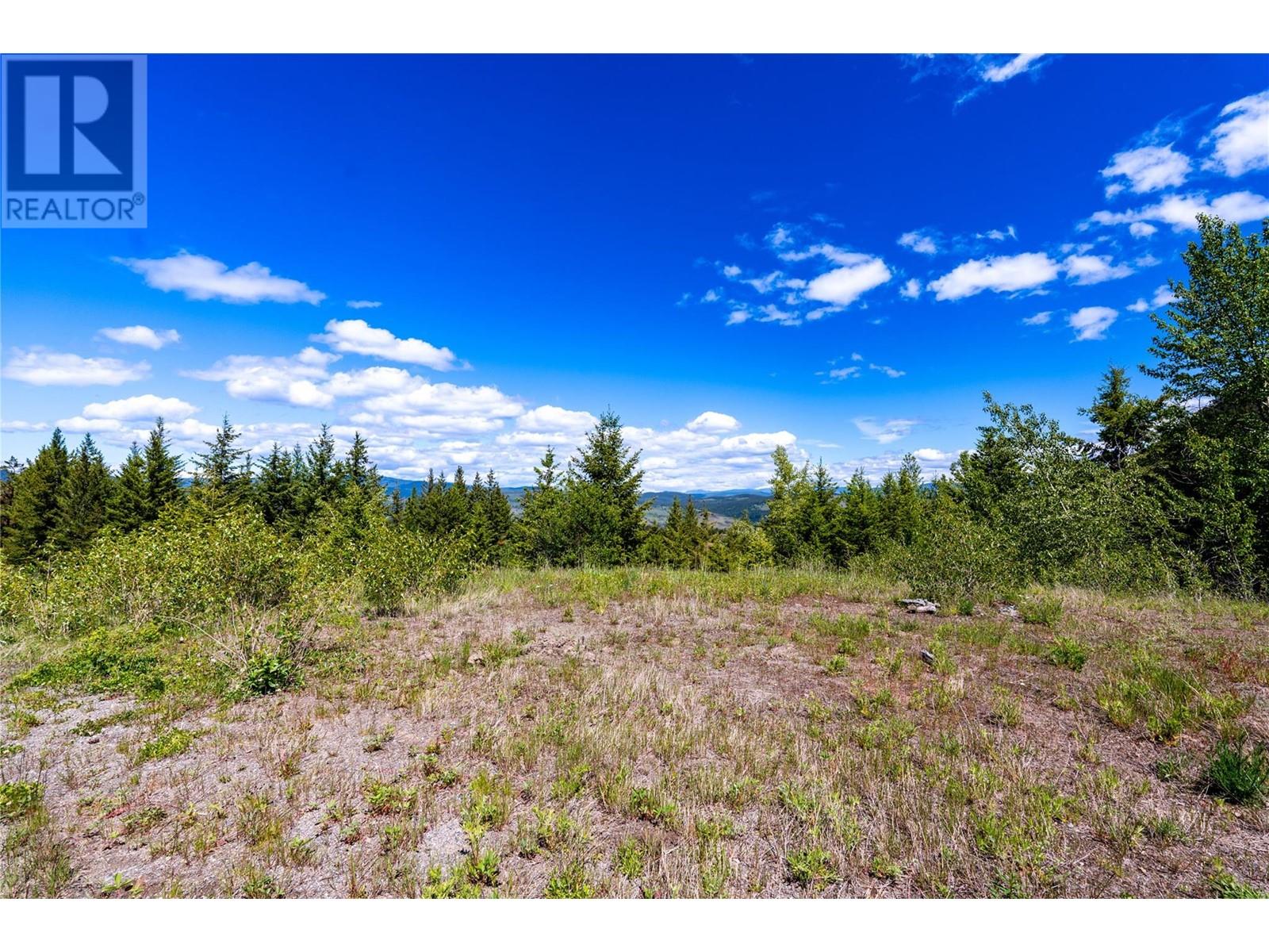 65 Settlers Road Lot# 4171, Vernon, British Columbia  V1B 3E9 - Photo 21 - 10342435