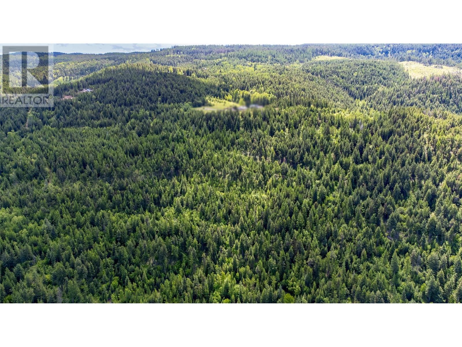 65 Settlers Road Lot# 4171, Vernon, British Columbia  V1B 3E9 - Photo 6 - 10342435