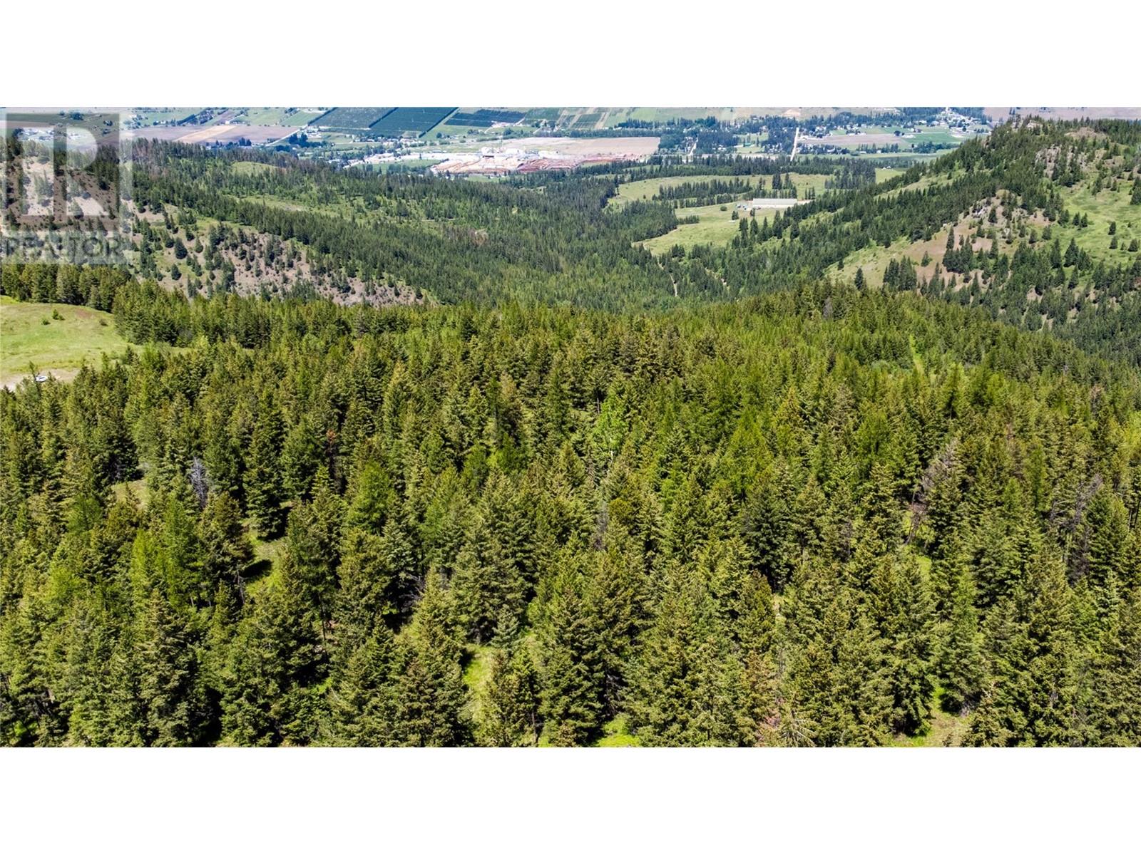 65 Settlers Road Lot# 4171, Vernon, British Columbia  V1B 3E9 - Photo 7 - 10342435