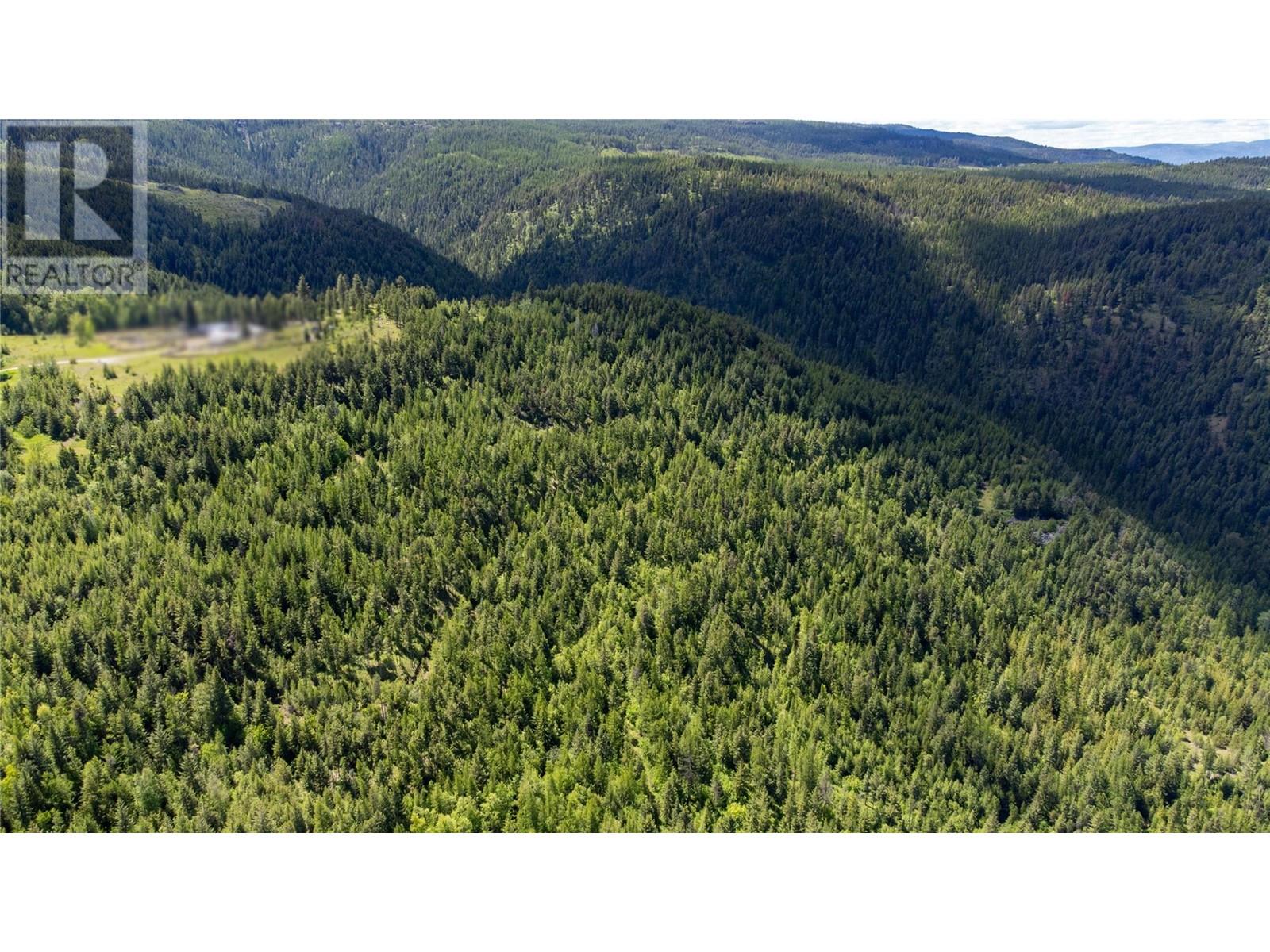 65 Settlers Road Lot# 4171, Vernon, British Columbia  V1B 3E9 - Photo 9 - 10342435